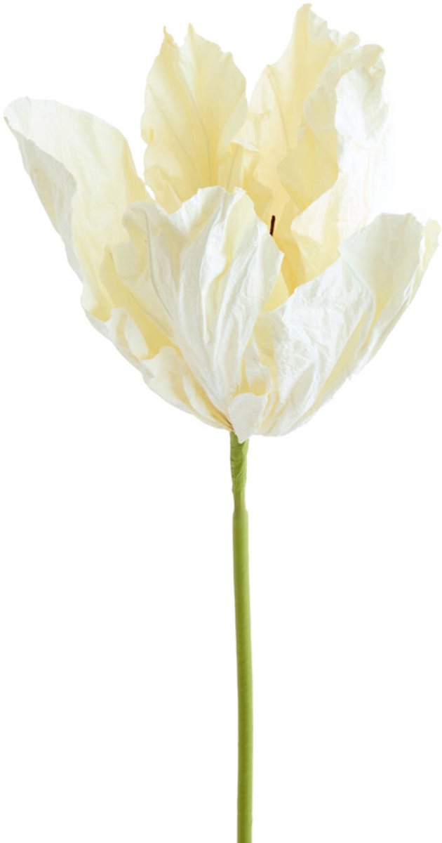 Kunstbloem 32x32x120 cm LOEK papier groen+crème