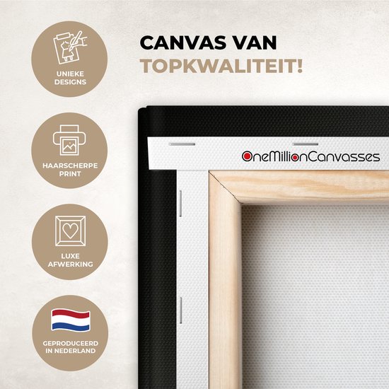 Details van een canvasprint: unieke designs, haarscherpe print, luxe afwerking, geproduceerd in Nederland.