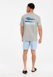Grijze heren t-shirt met blauwe golfontwerp en tekst 'PROTEST RIDING WAVES SINCE 03' op de rug.