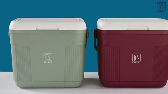 Brisby Grote Koelbox 22 Liter – Grijs – Tot 40 uur isolatie – 4 koelelementen vergrendeld in deksel – Ideaal voor camping en dagje uit – Frigobox