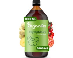 Phytophthora Concentraat 1L - Voor 1000m2 - Aardappelziekte Bestrijding - Voorkomt en geneest Aardappelplanten en Tomatenplanten - Organifer