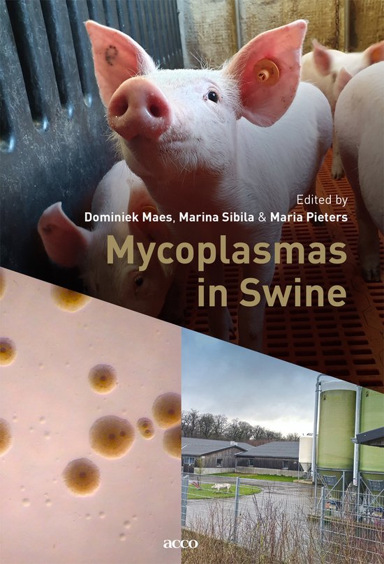 Mycoplasmas in Swine - cover
