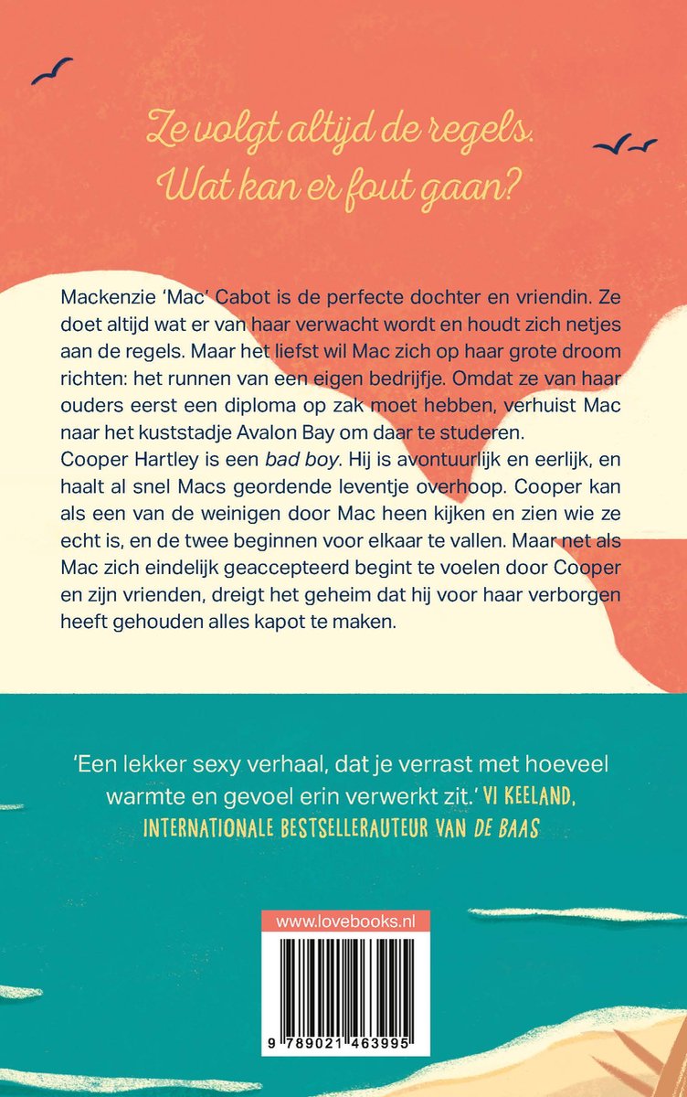 Een zonnig roze en geel design met tekeningen van zwaluwen en de tekst 'Ze volgt altijd de regels. Wat kan er fout gaan?'