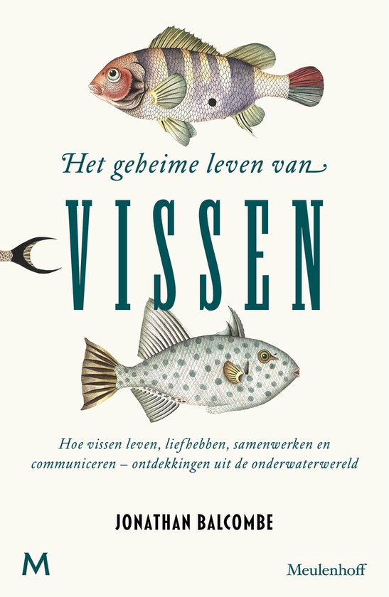 Het geheime leven van vissen - cover