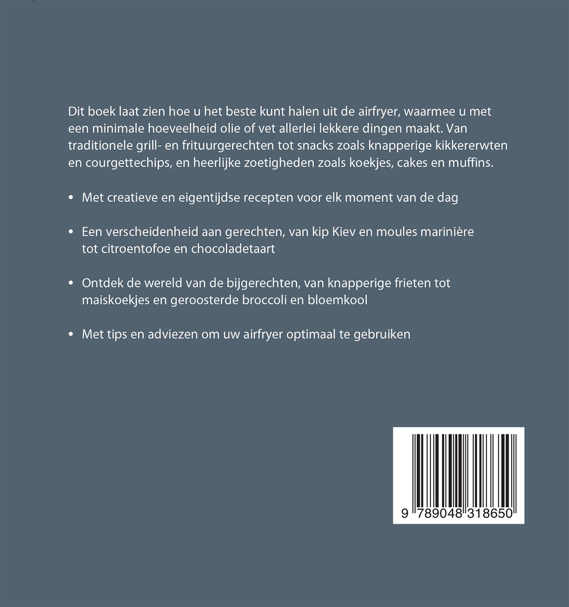 500 airfryer gerechten - back cover