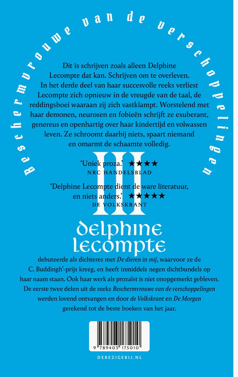 Beschermvrouwe van de verschoppelingen deel 3 - back cover