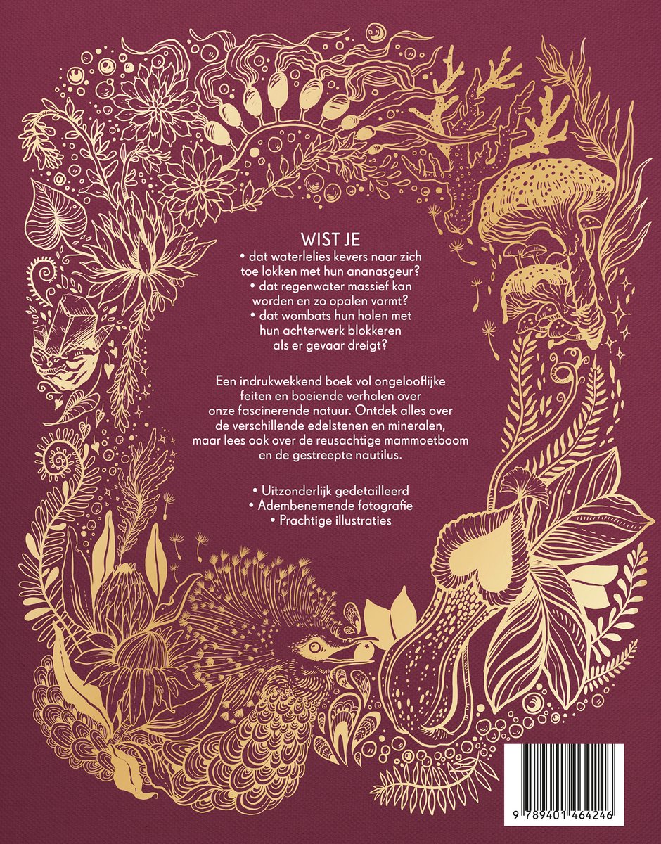 Het dikke boek - Het dikke boek van onze bijzondere natuur - back cover