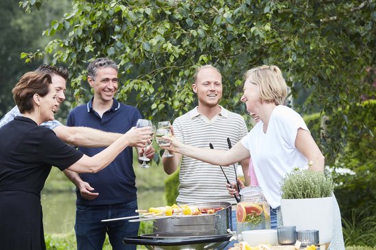 Barbecook Loewy 50 - Houtskool BBQ barbecue - Grilloppervlak 47.5cm - Incl. Windscherm, BBQ rooster en asopvangpot - RVS van Barbecook — afbeelding 4
