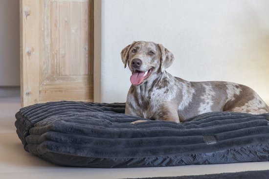 Een teckel met een gevlekt bruin-witte vacht ligt op een donkergrijs hondenbed met ribbels.