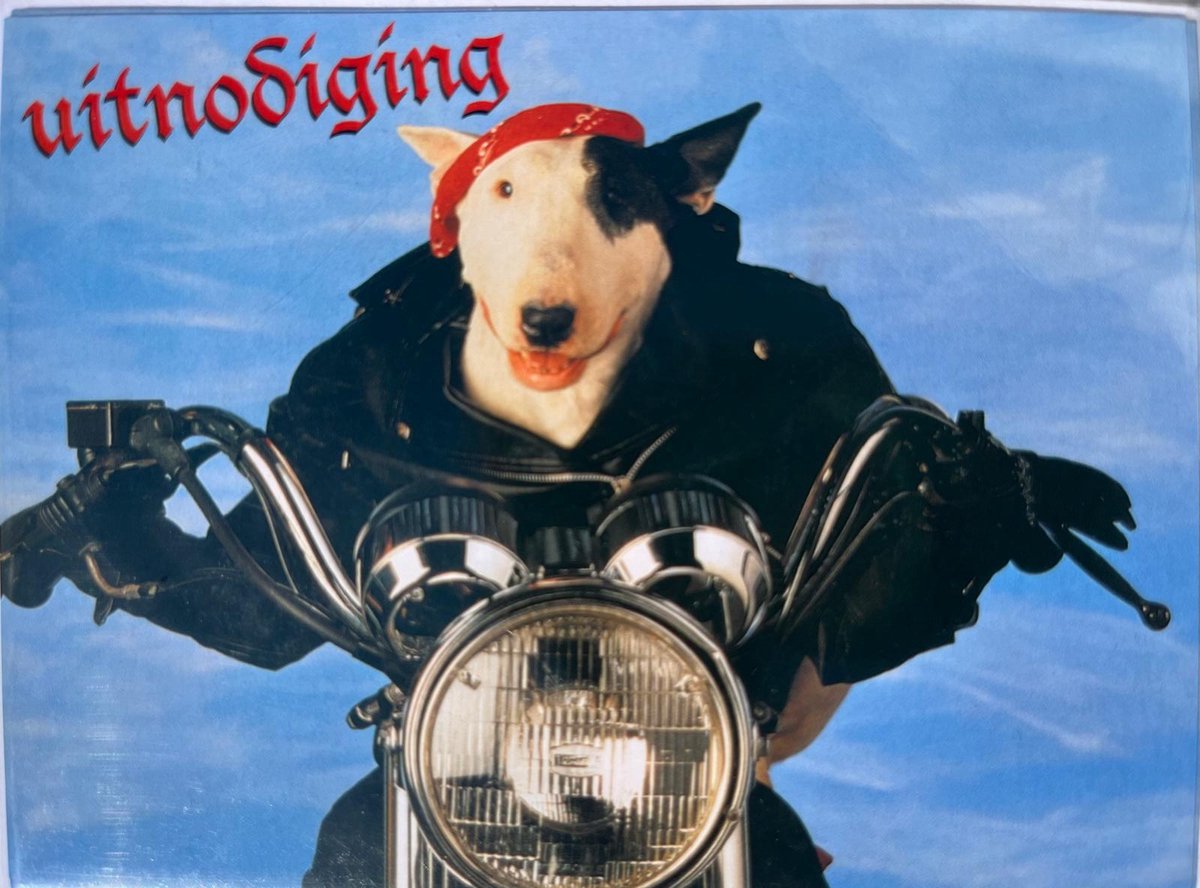 Uitnodiging kinderfeestje | 6 stuks | uitnodigingskaarten | uitnodiging hond | motorfeestje | grappige uitnodiging kind | feestkaart met enveloppen