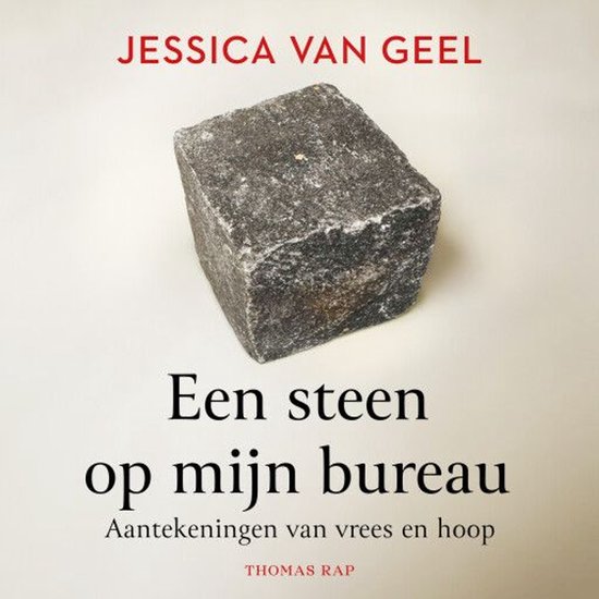 Een steen op mijn bureau - cover