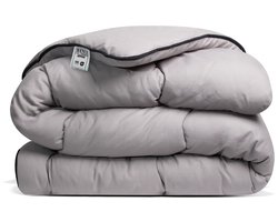 Avenue - Luxe en makkelijk dekbed zonder overtrek en wasbaar – Hoesloos Lits-jumeaux dekbed 240x220 cm – Anti-allergisch & hygiënisch – Wasbaar op 60°C – Wolkenzacht en soepel – Taupe/grijs – All Year comfort zomerdekbed & winterdekbed