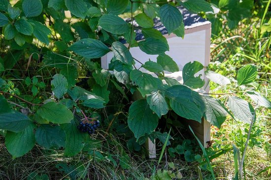 Egelhuis bouwpakket – veilige egelwoning - Feest Voor Vogels