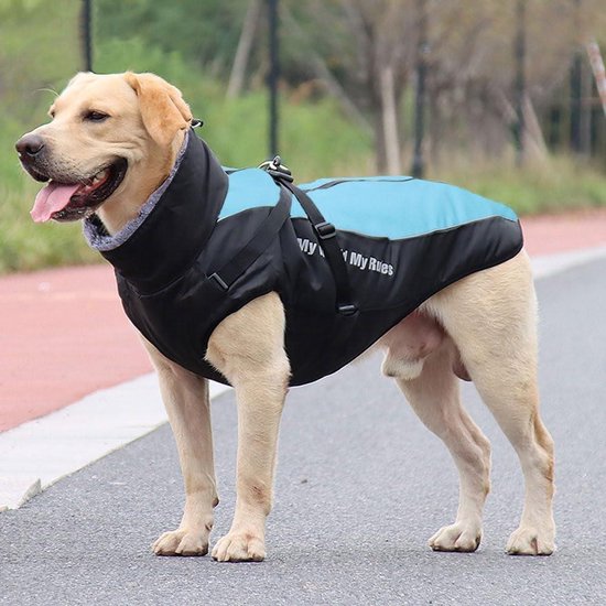 Pethiy Warme winterjas, waterdichte winterjas voor hond met harnasleiband, outdoorjas voor huisdier, hond,herfst- en winterkleren voor middelgrote en kleine hond - zwart - M Pethiy Warme winterjas, waterdichte winterjas voor hond met harnasleiband, outdoorjas voor huisdier, hond,herfst- en winterkleren voor middelgrote en kleine hond - zwart - M