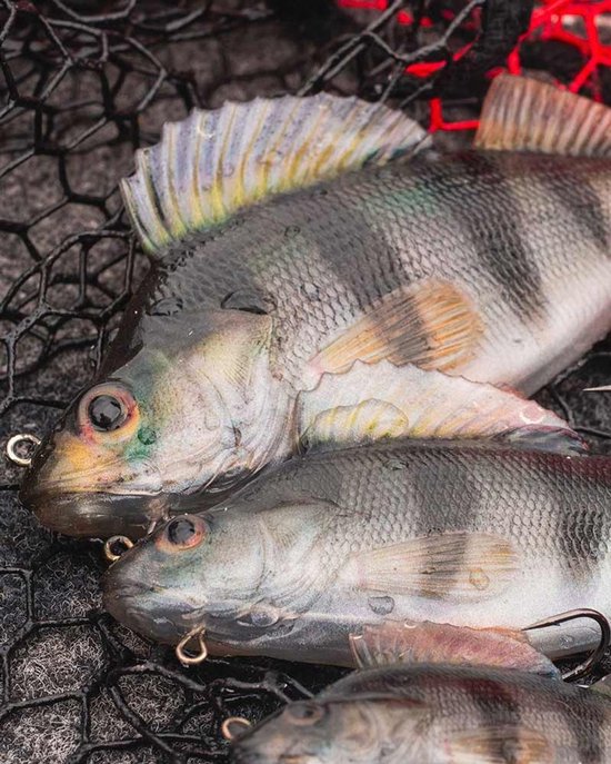 Fox Rage Ultra Realistic Perch Replicant - Maat : 10cm - 27g van Fox — afbeelding 2