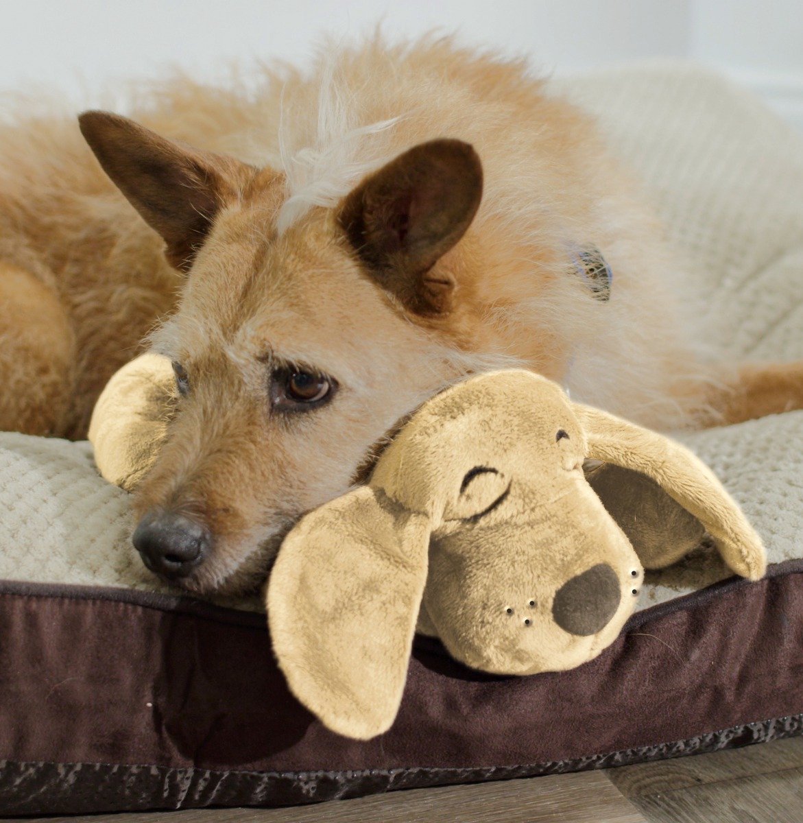 Puppy Hartslag Knuffel – Pluche Speelgoed Met Hartslag En Warmtezakje Voor Angstige Honden En Katten 1 miniatura