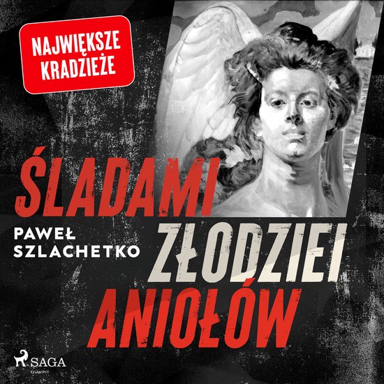 Śladami złodziei aniołów - cover