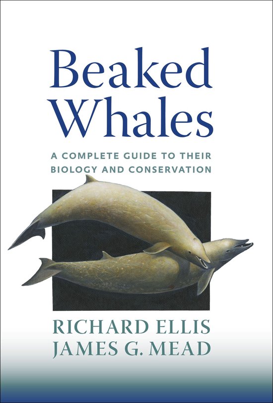 Beaked Whales - cover