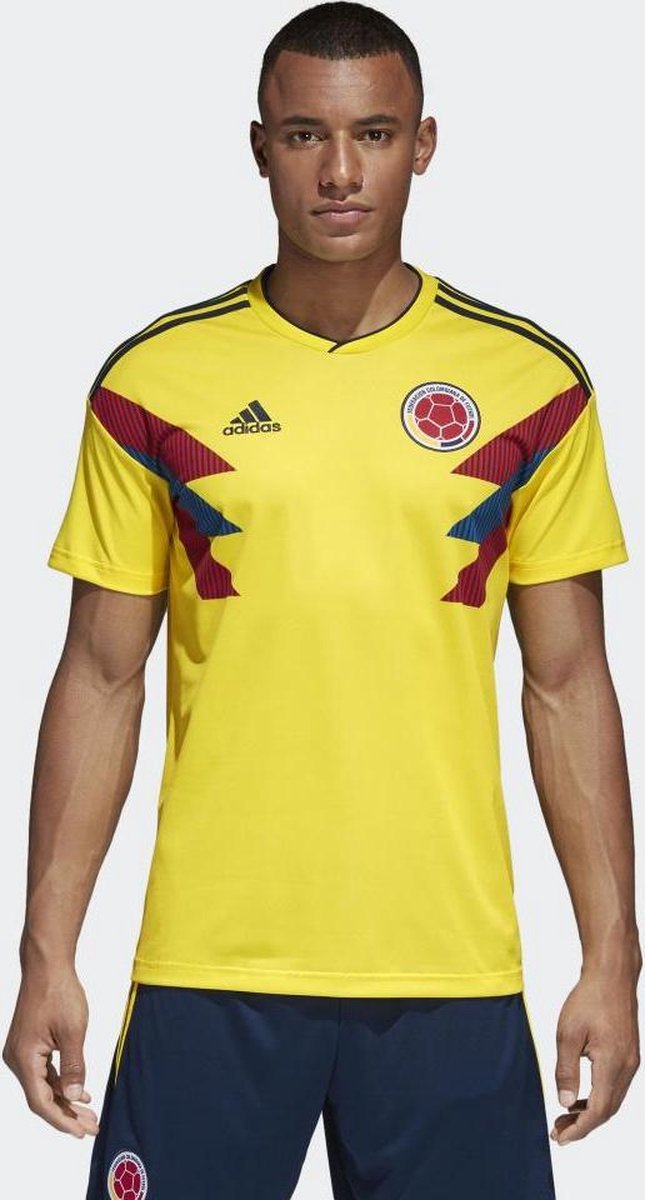 Verzadigen Lang Communicatie netwerk Colombia thuis shirt 2018-2020 maat 152 - kinderen - kleur geel | bol.com