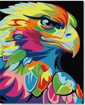 Eagle® Schilderen op Nummer Volwassenen - Gekleurde Adelaar - Gespannen op Houten Frame - 50x40cm