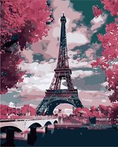 Eagle® Schilderen op Nummer Volwassenen - Eiffeltoren in Parijs - Gespannen op Houten Frame - 50x40cm