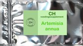 Artemisia annua (zomer-alsem) - 90 vegetarische capsules à 450 mg