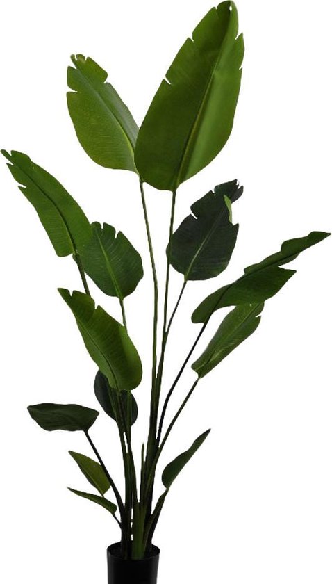 Silk-ka Kunstplant Strelitzia Zijde Groen 150 cm