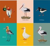 Vogelkaarten met Friese namen