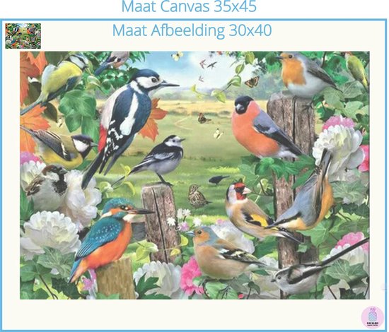 Diamond Painting kleurrijke Vogels | Diamond Painting