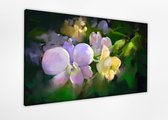 Colorful orchid flowers 80x60 cm, Kunst schilderij Afgedrukt op Canvas 100% katoen uitgerekt op het frame van hoge kwaliteit, muurhanger geïnstalleerd.