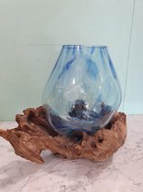 Glas op Hout/Stronk Blauw Medium, Viskom