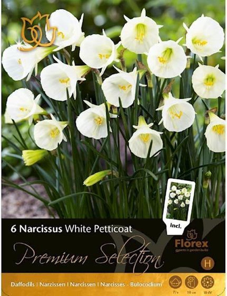 Premium Narcis White Petticoat 7/+ 6 stuks