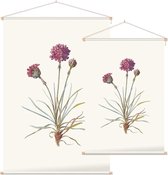 Engels Gras (Sea Thrift) - Foto op Textielposter - 40 x 60 cm
