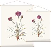 Engels Gras (Sea Thrift) - Foto op Textielposter - 60 x 80 cm