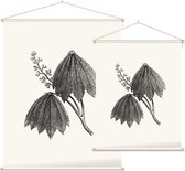 Paardenkastanje zwart-wit plus (Horse Chestnut) - Foto op Textielposter - 45 x 60 cm