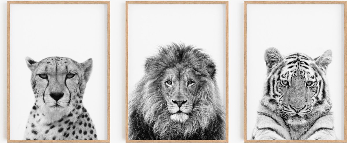 No Filter Zwart/wit dieren posters - 3 stuks - 20x30 cm - Cheetah, leeuw & tijger zwart wit