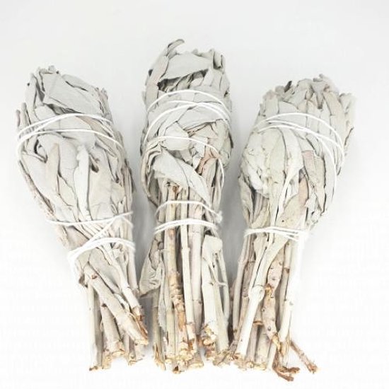 Witte Salie tulp - white sage tulip - smudge stick - 1 stuk - 10cm - meditatie - yoga - huis reiniging - zuivering - FineGoods