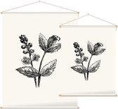Actaea zwart-wit (Baneberry) - Foto op Textielposter - 90 x 120 cm