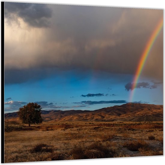 Dibond –Regenboog bij Bergen– 100x100 Foto op Aluminium (Met ophangl)