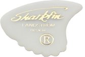 Sharkfin Goldprint - Medium - Wit 6-pack