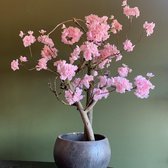 Seta Fiori - Cherry Bloesem Plant / Boom – Roze - 55cm Hoog