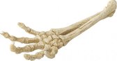 Auqa Della Skelet hand 26,8x9,4x4,5CM