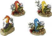 Auqa Della Zeepaard met plant  - 9,5x6x10CM, LET OP ! GEEN KEUZE MOGELIJK !!