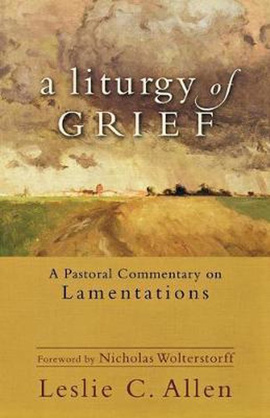 Boekomslag met de titel 'A Liturgy of Grief' over een landschap met een weg en donkere wolken. Ondertitel: 'A Pastoral Commentary on Lamentations'.