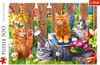 foto van Trefl Puzzel Katjes in de tuin: 500 stukjes