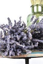 Lavendel | Gedroogd | Natuurlijk Bloemen | Geurend | Droogbloemen