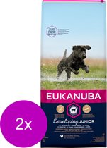 Eukanuba Developing Junior Large Breed Kip - Hondenvoer - 2 x 12 kg
