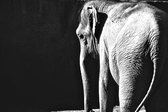 Schilderij kleine olifant 180 x 120 - Pixello - canvas - woonkamer - slaapkamer - print