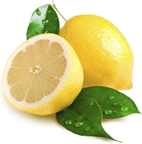 Frosch Badkamereiniger Lemon 500 ml - Frosch