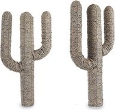 Standbeelden voor in de tuin Cactus